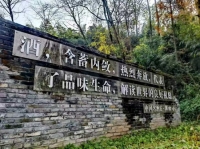 釀酒質(zhì)量大賽獲獎(jiǎng)產(chǎn)品企業(yè)推薦：源窩子酒天臺(tái)山下的林藏老酒