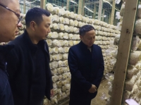 四川省微生物學(xué)會(huì)專(zhuān)家調(diào)研服務(wù)食用菌企業(yè) 共促食用菌產(chǎn)業(yè)發(fā)展鄉(xiāng)村振興